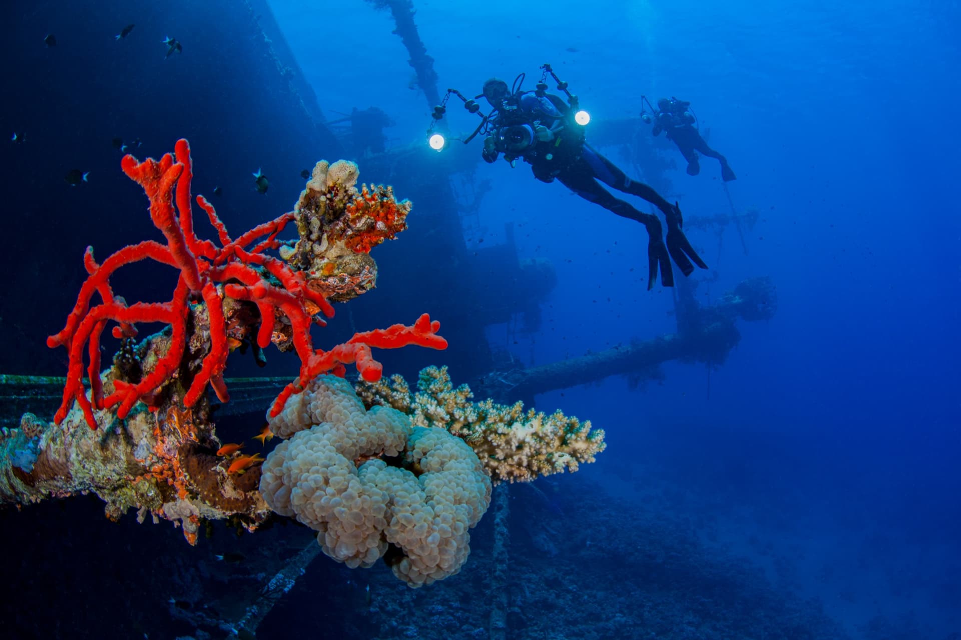 plongee aqaba